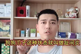 狗狗爪子这种状态就叫做趾间炎 @中视频伙伴计划官号