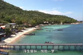 浮生皆纵恍如一梦，遇见你之前我随遇而安,遇见你之后我以你为安视频封面