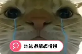 地铁老鼠表情包视频封面