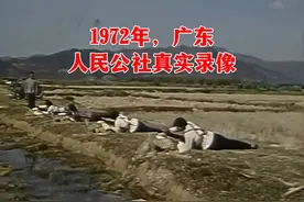 1972年，我国民兵训练和人民公社真实录像视频封面