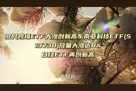 跨境ETF大涨创新高东南亚科技ETF(513730)放量大涨
日经ETF新高视频封面