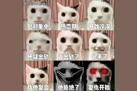 处对象时的我。视频封面