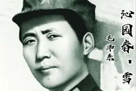 《沁园春·雪》是一首具有强烈情感表达和革命精神的词作，佳作