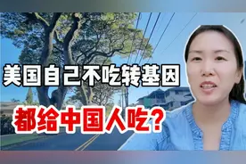 美国不吃转基因食品，都给中国人吃？周围超市看一遍，聊聊我看法视频封面