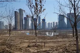 乌鲁木齐新建文化公园局部已开放，是踏春、健身、休闲的好去处。视频封面