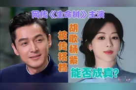 胡歌杨紫《生命树》 | 合作传闻大起底 | 真假难辨？