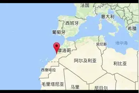 羊上树是真的吗？羊为什么会上树？