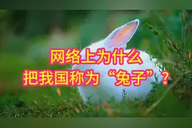 您知道吗?网上称呼我们为‘兔子’的原因！视频封面