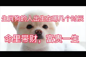生肖狗的人出生在哪几个时辰，命里带财，富贵一生视频封面