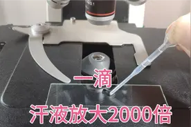 一滴汗液放大2000倍，看看排出的都有什么视频封面