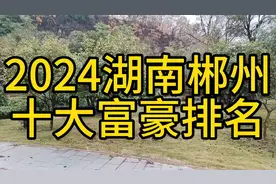 2024郴州十大富豪排名视频封面