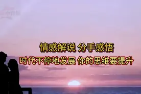 分手感悟视频封面