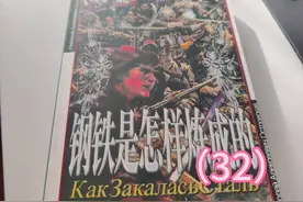 世界文学名著《钢铁是怎样炼成的》〔俄〕尼.奥斯特洛夫斯基 32