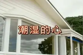 日常生活1147-《潮湿的心》（花仙子）