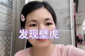 今天发现了一只壁虎，村里啥都好就是蚊子多。#在家的一天视频封面