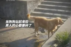 不幸运的小狗遇到了心软的神视频封面