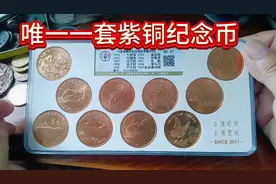 珍稀野生动物纪念币目前收藏价视频封面