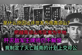 中越总指挥较量：我军战术被文进勇识破，许世友大怒：万炮轰谅山视频封面
