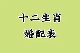 十二生肖婚配表，一起来看看吧！视频封面