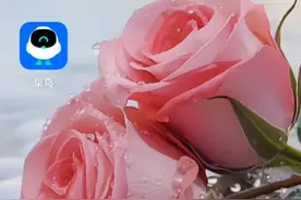 我的世界怎么游玩？刚毅新手必看。