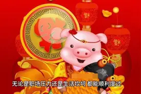 属猪人、金猪、木猪、水猪、火猪、土猪在蛇年各自的运程视频封面