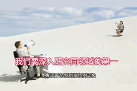 深入研究同领域第一视频封面