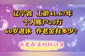 辽宁省，工龄41.67年，个人账户20万，60岁退休，养老金有多少？视频封面