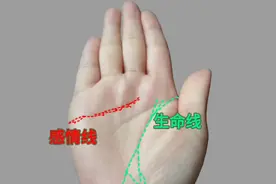 生命线出现了三角财库