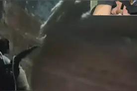 时间过得真的很快，转眼间我的外婆老了愿我最亲爱的外婆健康长寿视频封面