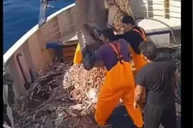 捕鱼抓到鲨鱼，放生时突然张开大口，吓得渔民连忙后退视频封面