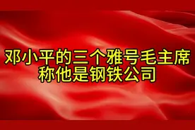 邓小平的三个小号，毛主席称他是钢铁公司