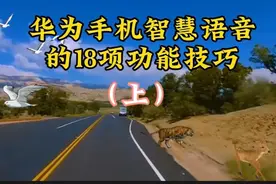 华为手机智慧语音的18项功能技巧（上）视频封面