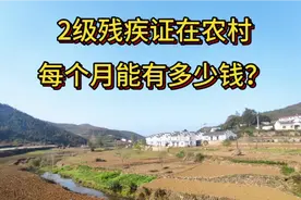 二级残疾证在农村，每个月能有多少钱？视频封面
