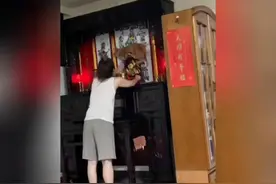 猫咪为什么上不了十二生肖这回我是看明白了就没有它不敢干的
