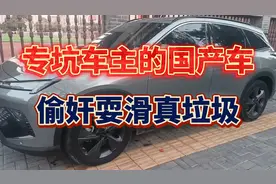 专坑车主的国产车，偷奸耍滑真垃圾。视频封面