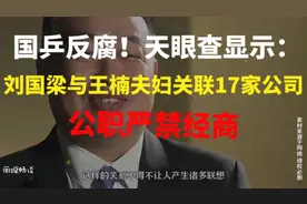 国乒反腐！天眼查：刘国梁与王楠夫妇关联17家公司，公职严禁经商视频封面