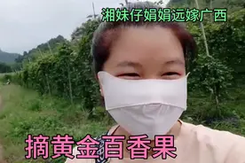 和老公去地里面摘百香果，带到湖南去。百香果是水果之王！视频封面
