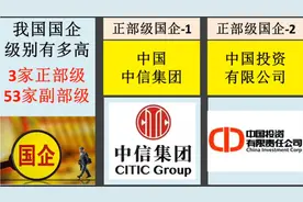 我国国企行政级别有多高？3家正部级，53家副部级！视频封面