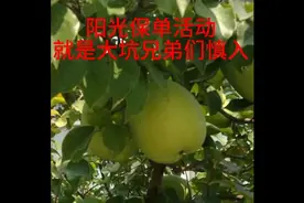 北京阳光保单活动远看肥美大馅饼实则不折不扣陷阱朋友们慎入（上视频封面