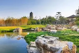 千万不要来雄安新区视频封面