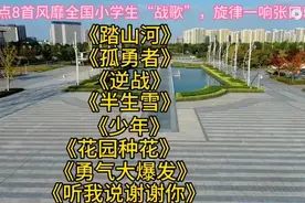 全网小学生最火的8首歌。