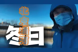 北京清河，聚集的几百只绿头鸭，是清河最大种群的鸭类，去看看吧视频封面