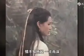 经典电视剧射雕英雄传，小龙女视频封面