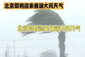注意！北京极端大风天气致轨道交通地面线停运