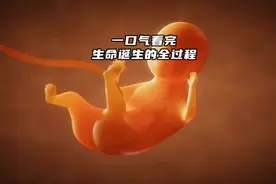 生命诞生的全过程！从小蝌蚪开始到胎儿出生，简直太震撼了！