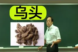 倪海厦讲本草：乌头