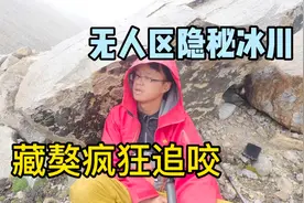 小伙胆子太大，独自徒步无人区不怕狼熊，极端天气被藏獒疯狂追咬