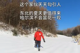 这个人天天勾引人！东北的夏天更值得来，哈尔滨绝不会昙花一现！视频封面