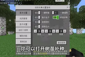 【我的世界】你真的了解连锁采集吗？ #我的世界