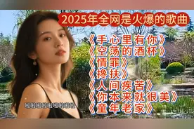 2025年全网爆火歌曲大合集《手心有你》《童年老家》等…
